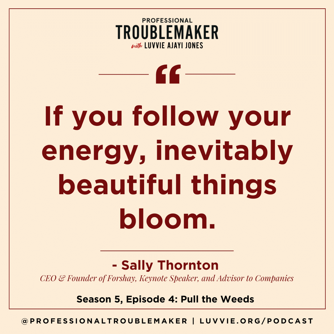 Follow Your Energy - Sally Thornton - Professional Troublemaker Podcast Quote Graphic